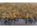 An aerial view of a lake featuring a fishing pier surrounded by dense woods at 7537 Parkers Ferry Rd, Adams Run, SC 29426