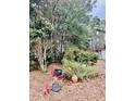 Seating among greenery creates a quiet backyard area at 204 Chamblee Rd, Walterboro, SC 29488