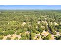 Aerial view of a neighborhood with lush greenery, showcasing the community's natural beauty at 317 Lankford St, Moncks Corner, SC 29461