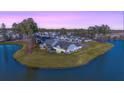 Stunning aerial view of the home with waterfront access and picturesque community at 115 Bluff Isle Ct, Summerville, SC 29486