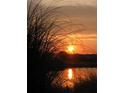 Scenic view of the sunset over the lake, with the reflection of the sun on the water at 280 Driftwood Ln, Edisto Beach, SC 29438