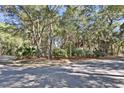 View of home on a wooded lot with mature trees and lush landscape at 87 Dungannon Hall, Kiawah Island, SC 29455