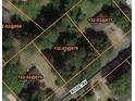 Aerial view of the property lot within a quiet neighborhood surrounded by trees and other properties at 149 Rose Ave, Walterboro, SC 29488