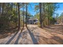 Long driveway leading up to the two-story home, surrounded by mature trees and natural landscape at 5334 Charleston Highway Hwy, Walterboro, SC 29488