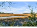 Scenic marsh view with native grasses reflecting the bright blue sky on a sunny day at 26 Saturday Rd, Mount Pleasant, SC 29464
