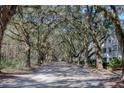 Scenic drive featuring a canopy of mature oak trees, leading to a charming home in a tranquil setting at 60 Fenwick Hall Aly # 622, Johns Island, SC 29455
