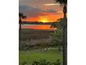 Scenic sunset view from the backyard overlooking the marsh at 2156 Cheswick Ln, Mount Pleasant, SC 29466