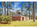 Spacious backyard featuring mature trees, partial brick home view, and verdant lawn at 407 Hayne St, Walterboro, SC 29488