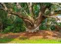 Relaxing backyard setting with a hammock suspended from a large, mature tree at 1491 Seacroft Rd, James Island, SC 29412