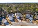 A bird's eye view showcasing the home's location in a tranquil neighborhood surrounded by lush greenery at 2176 Andover Way, Mount Pleasant, SC 29466
