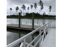 Scenic view of a wooden dock extending into a calm lake, surrounded by tall trees and greenery at 548 Richfield Way, Summerville, SC 29486