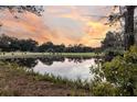 A view of the pond reflecting the sunset surrounded by lush green trees next to a golf course at 31 Berkshire Hall, Kiawah Island, SC 29455