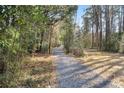 Gravel driveway flanked by lush trees and natural foliage at 8255 Chisolm Plantation Rd, Edisto Island, SC 29438