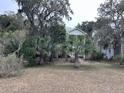 Quaint home with a green roof, surrounded by palm trees, mossy trees, and green grass and shrubbery at 1001 Jungle Shores Dr # 1/4 Share Interval, Edisto Beach, SC 29438