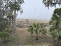 Picturesque view from the house overlooking a serene marsh landscape framed by trees and moss at 1001 Jungle Shores Dr # 1/4 Share Interval, Edisto Beach, SC 29438