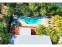 Aerial view of a kidney-shaped pool with lounge chairs, set amongst lush palm trees at 3 25Th Ave, Isle of Palms, SC 29451