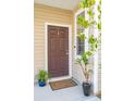 A welcoming front entrance with a brown door, potted plants, and beige siding at 8816 Kellum Dr, North Charleston, SC 29420