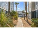 Charming stone walkway amidst lush greenery and palm trees between buildings, creating an inviting outdoor space at 9 J C Long Blvd, Isle of Palms, SC 29451