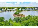 Aerial view of the neighborhood with a scenic pond and lush green trees at 1796 Bolden Dr, Mount Pleasant, SC 29466