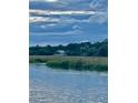Picturesque view of a stately home nestled among lush greenery, as seen from across the tranquil water at 7753 Blue House Ln, Edisto Island, SC 29438