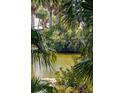 Scenic view of a tranquil pond surrounded by lush greenery through palm fronds at 806 Jungle Rd, Edisto Island, SC 29438