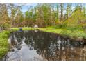 A serene pond reflecting the surrounding forest, offering a peaceful retreat at 2285 Cooper Store Rd, Moncks Corner, SC 29461
