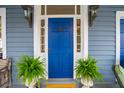 A vibrant blue front door flanked by potted ferns and elegant sconces, enhancing curb appeal at 48 Montagu St # B, Charleston, SC 29401