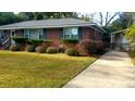 Well-maintained front yard with shrubs and a paved driveway leading to a shed at 1902 Morgan Ave, North Charleston, SC 29406