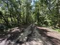 Gravel road winds through a dense forest, creating a secluded and natural driveway at 197 Melrose Pl, Moncks Corner, SC 29461