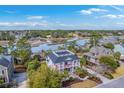 Aerial view of beautiful coastal community, showcasing a two-story home, waterfront access and lush landscaping at 2040 Ashburton Way, Mount Pleasant, SC 29466