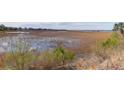 Marsh view with blue sky reflecting in the water and palm trees at 23 Lowndes Pointe Dr, Charleston, SC 29403