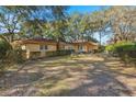 Spacious backyard with green grass and mature trees providing ample shade at 29 Wendy Lane, Charleston, SC 29407