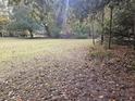 Expansive lot with open green space surrounded by trees, showcasing the property's potential for recreation and outdoor living at 3695 Cannon Rd, Round O, SC 29474