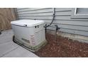 Exterior shot of a home generator showing a well maintained unit and yard at 1310 Pilsdon Crest, Mount Pleasant, SC 29464