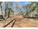 Large backyard under a canopy of mature trees at 1715 Greystone Blvd Blvd # 25, Mount Pleasant, SC 29464