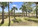 Expansive backyard with palm trees offers stunning views of the surrounding marshlands at 2745 Oak Manor Dr, Mount Pleasant, SC 29466