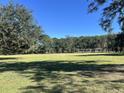 Expansive green lawn surrounds the home with mature trees on a sunny day at 5355 Old Military Rd, Adams Run, SC 29426