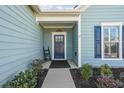 Inviting entrance with a stylish blue door, enhanced by tasteful landscaping and a charming, ladder detail at 127 Garden Gate Way, Summerville, SC 29486