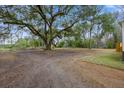 A spacious backyard featuring a large tree and ample space for outdoor activities and entertainment at 1399 Old Whitesville Rd, Moncks Corner, SC 29461