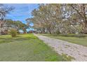 Inviting front yard view featuring a gravel driveway and majestic trees with Spanish moss at 185 Wappoo Rd, Charleston, SC 29407