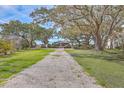 Charming home with a gravel driveway lined by mature trees draped in Spanish moss at 185 Wappoo Rd, Charleston, SC 29407