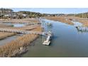 Picturesque aerial view of waterways, docks, and boats amidst marshland and waterways at 3232 Pignatelli Cres, Mount Pleasant, SC 29466