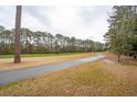 Manicured green space with trees, a golf course, and paved path at 5358 Birdie Ln, Hollywood, SC 29449