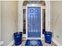Charming home entrance featuring a blue front door flanked by stylish planters and a compass rug at 216 Sea Marsh Dr, Kiawah Island, SC 29455
