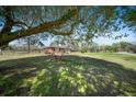 Shady backyard view featuring an enormous tree with a comfortable hammock and expansive green space at 1115 O T Wallace Blvd, Moncks Corner, SC 29461