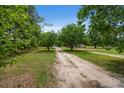 Long driveway lined with trees leading to a secluded property at 1657 Short Cut Rd, Cross, SC 29436