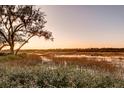 Picturesque waterfront scene with Spanish moss draped oak tree over marshland at sunset at 4009 Ballovista Rd, Johns Island, SC 29455