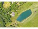 An aerial view of home showcasing surrounding landscape, pond and lush forest at 1420 Polly Point Rd, Wadmalaw Island, SC 29487