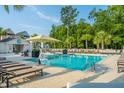 Inviting community pool surrounded by lounge chairs, ideal for relaxation and recreation at 2007 E Patterson Pt, Hanahan, SC 29410