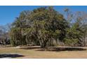 Mature tree with Spanish moss. Large trees in an open grassy yard at 6118 Hazelhurst Ln, Ravenel, SC 29470